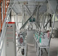 40 tpd wheat roller milling flour machine
